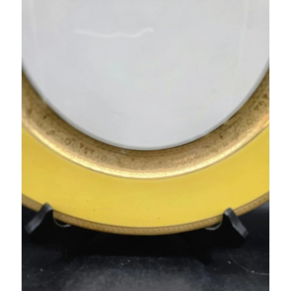 Set/2 Rosenthal Ivory Porcelain Dinner Plates Yellow 10.25